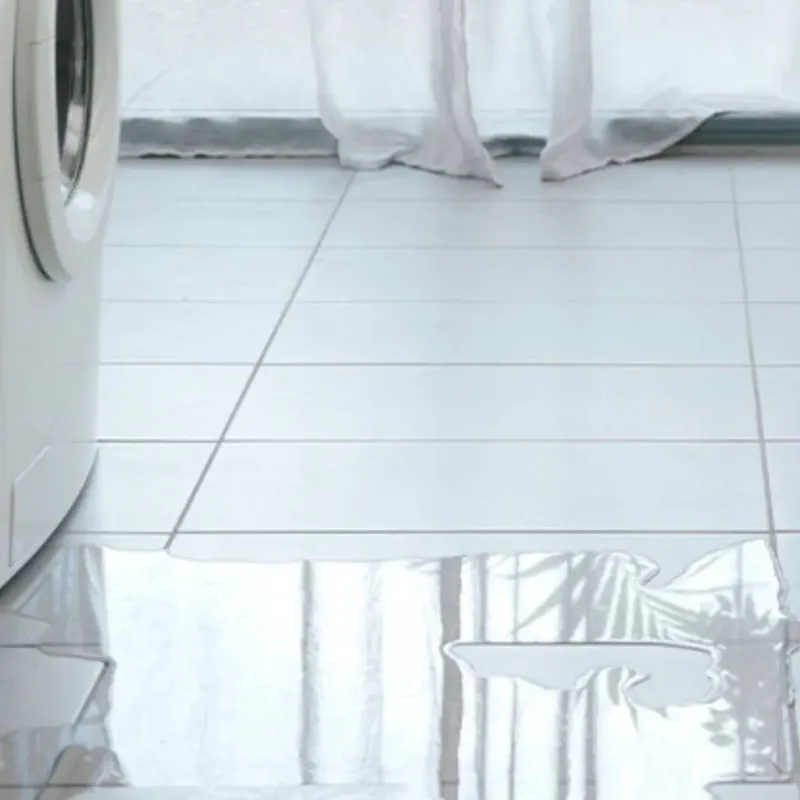 Appliance Leak Cleanup in Fishers, IN