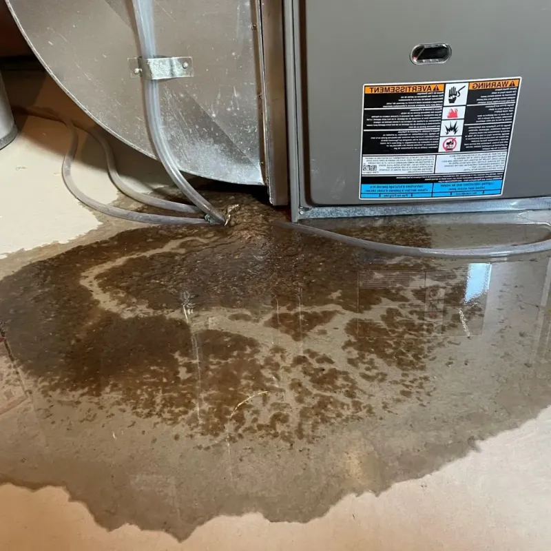 Pipe Burst and Leak Restoration in Fishers, IN